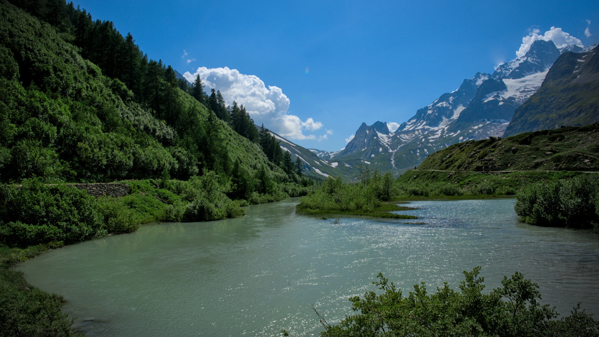 Il Val Ferret sotto le Grandes Jorasses, tra prato e torrente glaciale