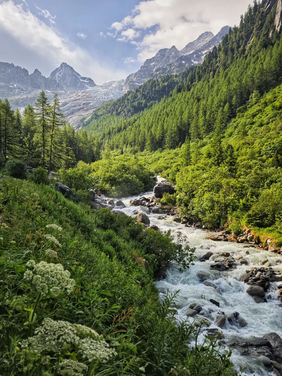 Ghiacciaio del Trient - TMB