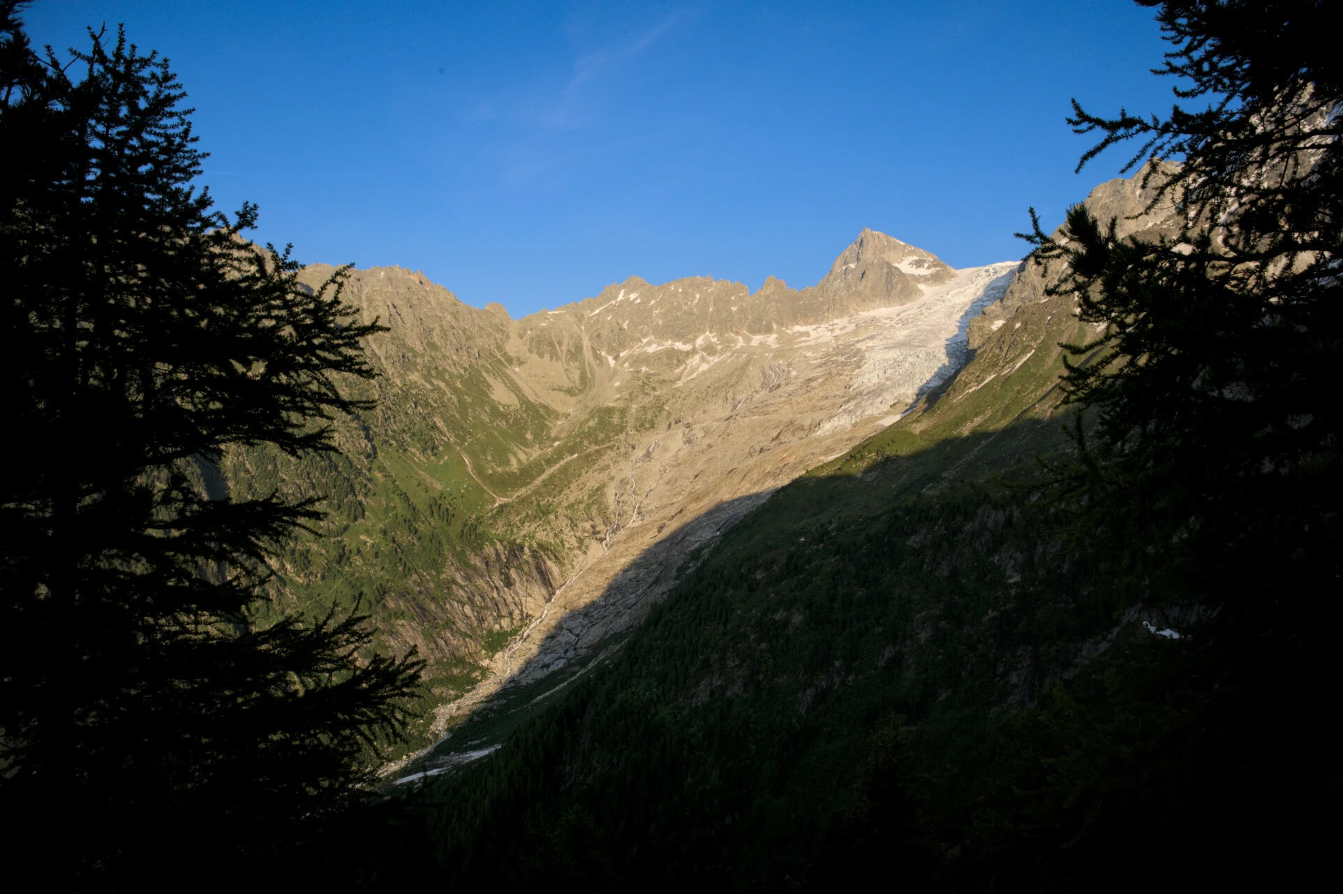 Sagome di abeti rossi e cime glaciali dalle alture del Col de Balme
