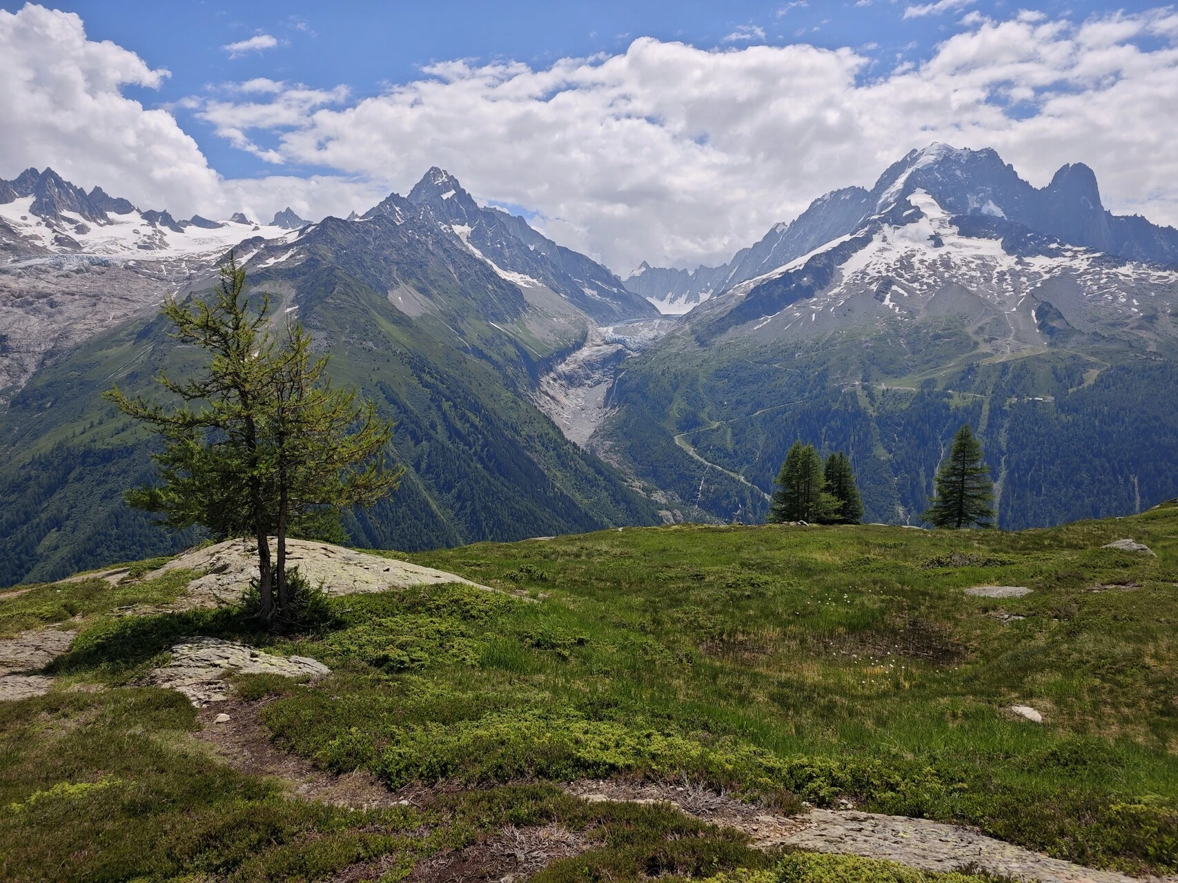 Un larice isolato davanti al glacier d'Argentière e all'Aiguille Verte