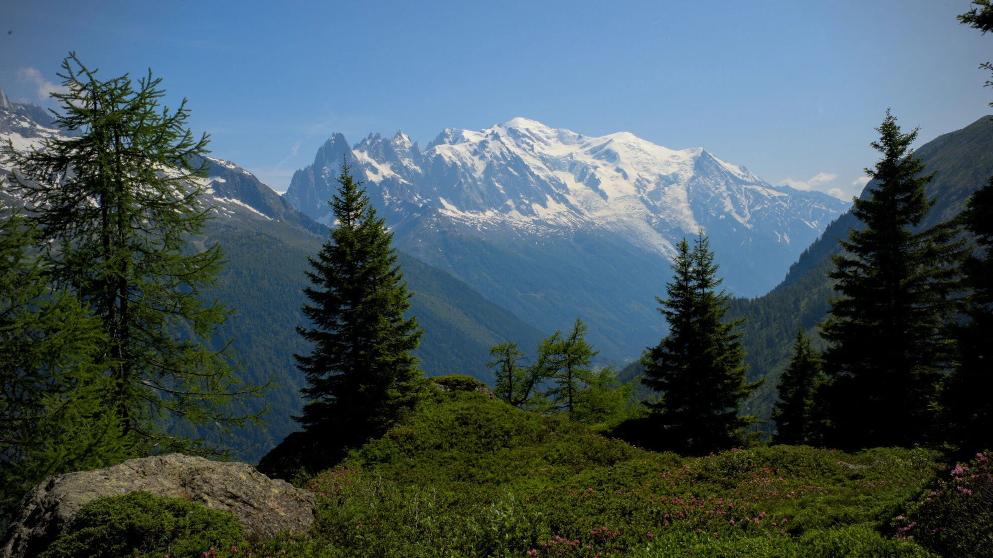 Alpeggio sul Grand Balcon Sud con il massiccio del Monte Bianco sullo sfondo