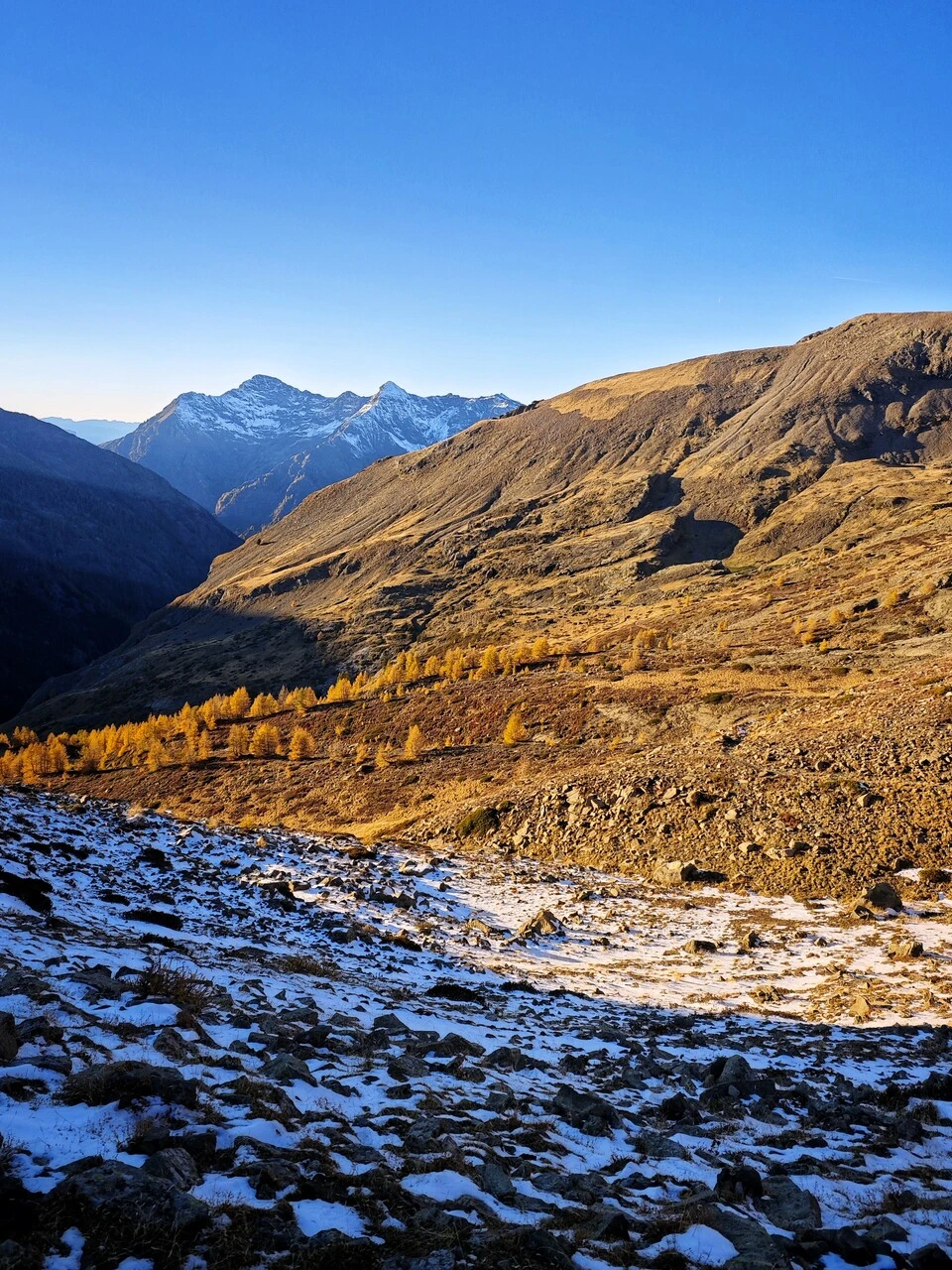 Prima neve e larici dorati nel vallone di Chaillol, a fine ottobre