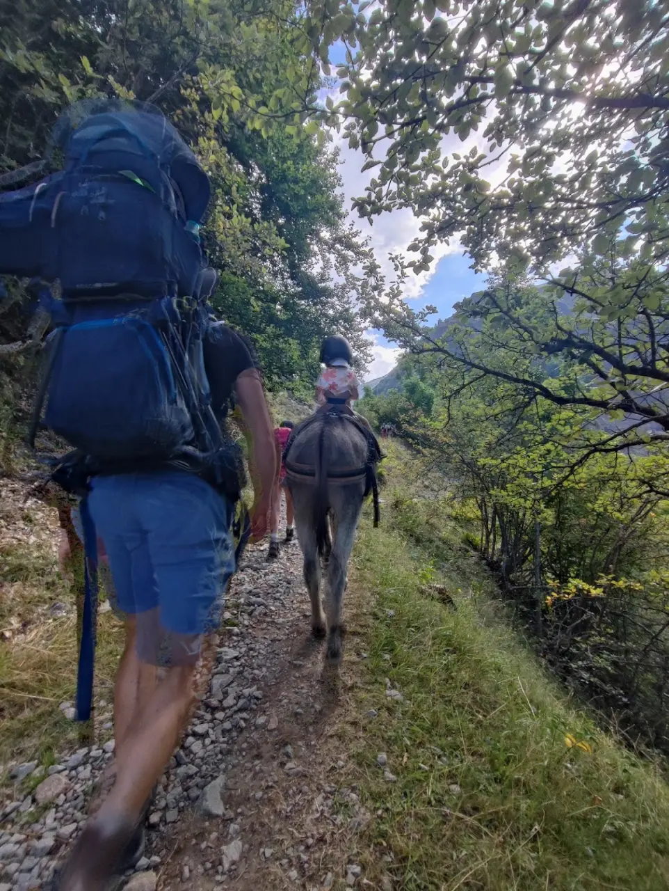 Escursione in famiglia con asini