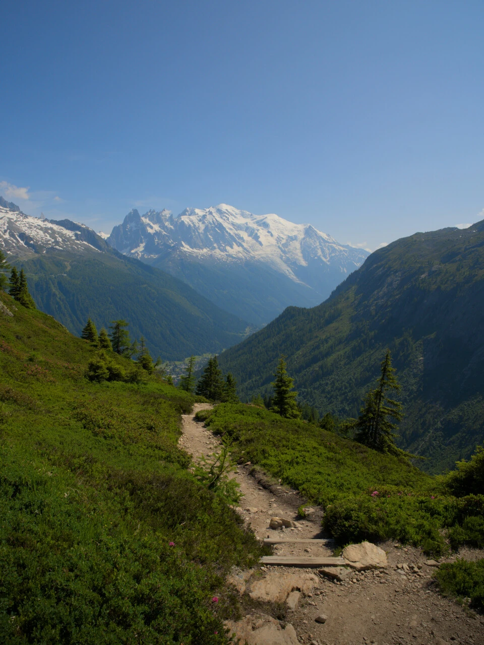 Discesa del sentiero balcone verso la valle di Chamonix