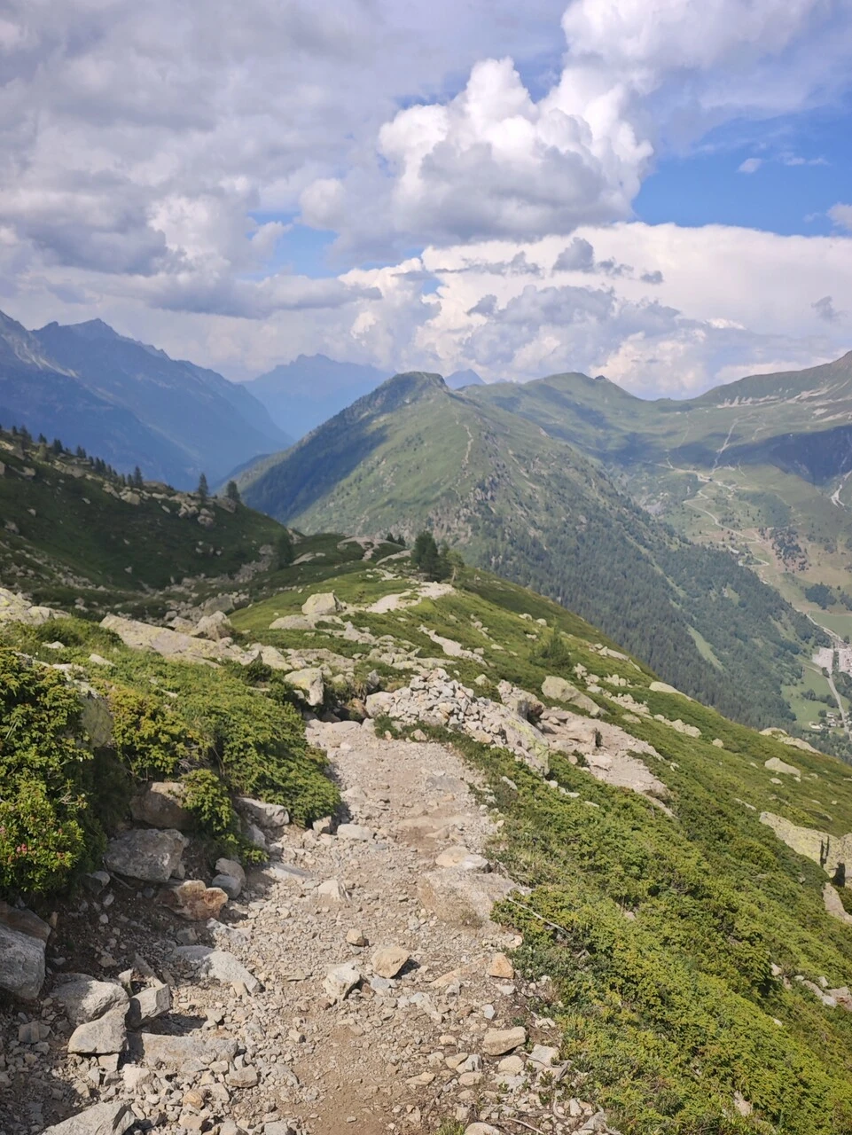 Il sentiero sassoso che scende dai Chéserys verso il col des Montets