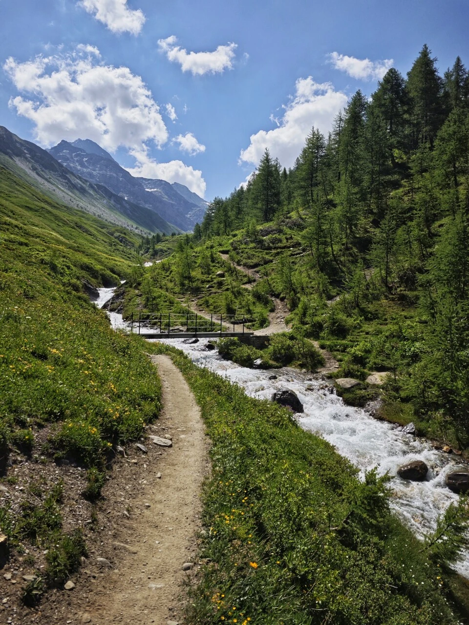 Sentiero lungo il torrente lasciando il Rifugio Bonatti