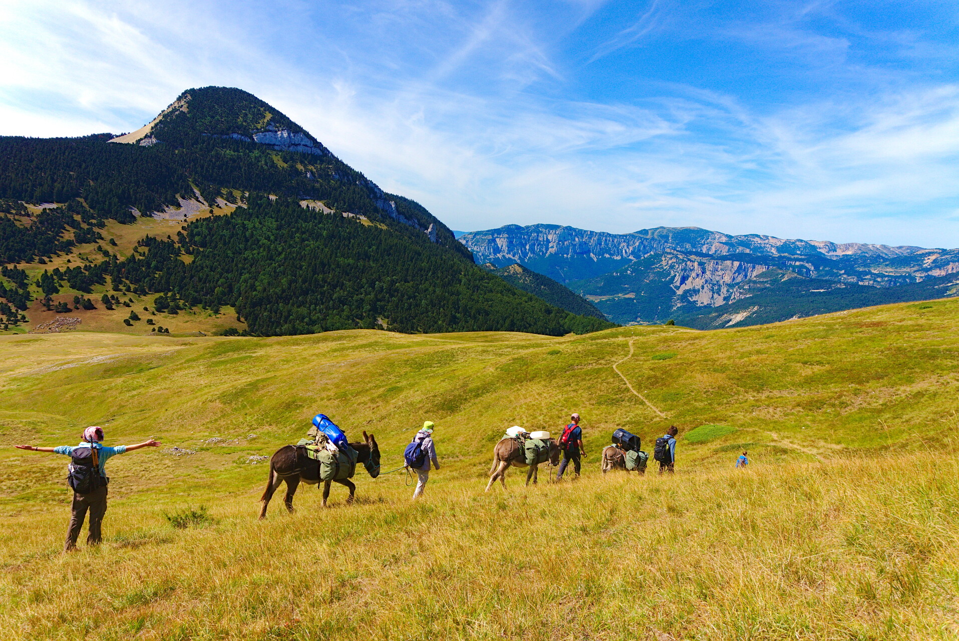 Trek con asino nelle Alpi meridionali